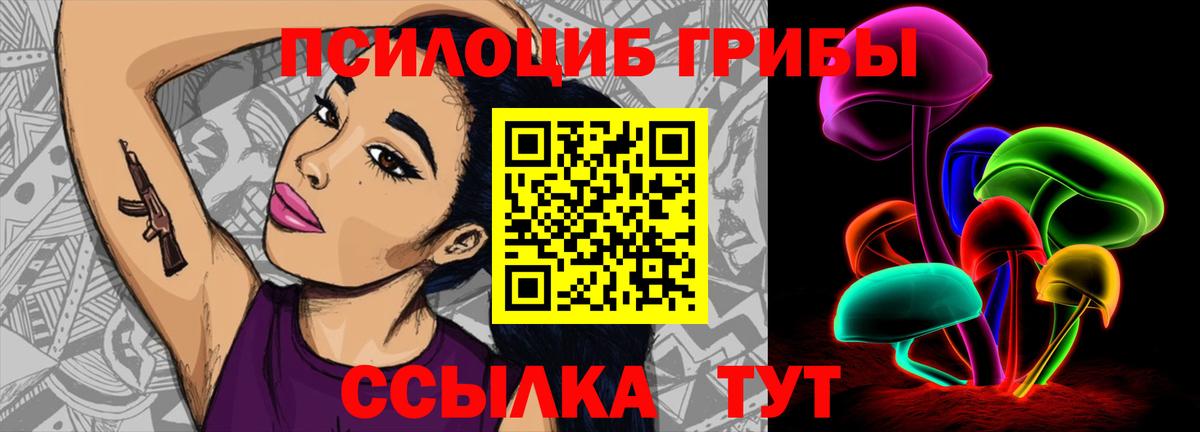 Псилоцибиновые грибы Psilocybe  Псилоцибиновые грибы прущие грибы  Вход с VPN  Саяногорск 